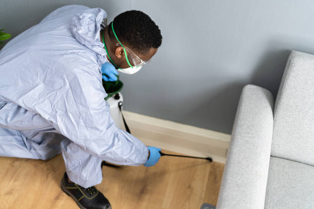 Emergency Pest Control Services in Franklin, TX